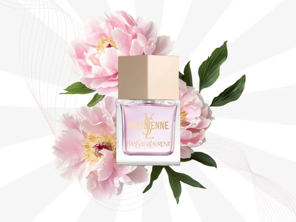 YSL Parisienne EDP 80ML